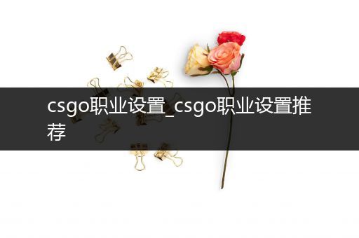 csgo职业设置_csgo职业设置推荐