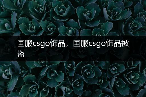 国服csgo饰品，国服csgo饰品被盗