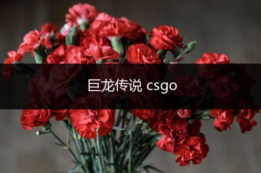 巨龙传说 csgo