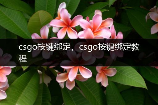 csgo按键绑定，csgo按键绑定教程