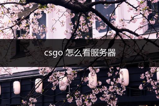 csgo 怎么看服务器