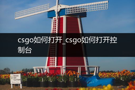 csgo如何打开_csgo如何打开控制台