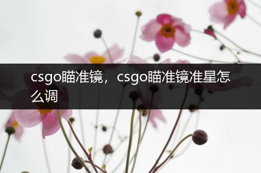 csgo瞄准镜，csgo瞄准镜准星怎么调