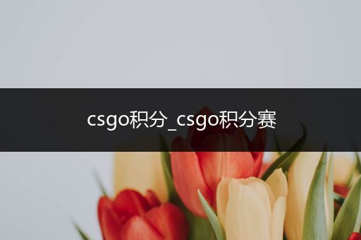 csgo积分_csgo积分赛