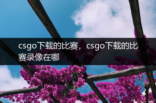 csgo下载的比赛，csgo下载的比赛录像在哪