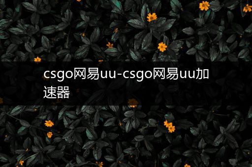 csgo网易uu-csgo网易uu加速器