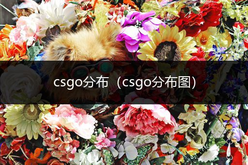 csgo分布（csgo分布图）