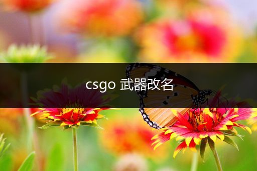 csgo 武器改名