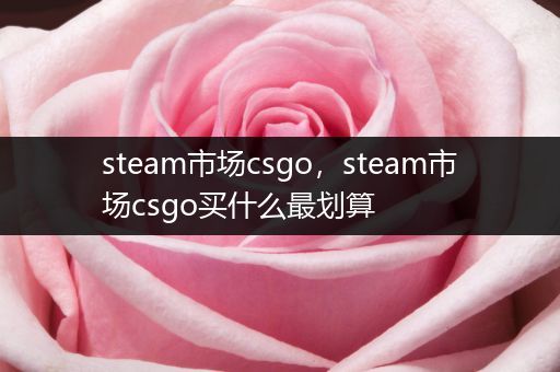 steam市场csgo，steam市场csgo买什么最划算