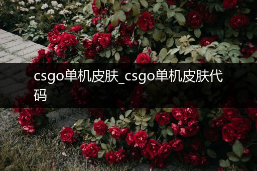 csgo单机皮肤_csgo单机皮肤代码