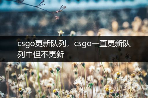 csgo更新队列，csgo一直更新队列中但不更新