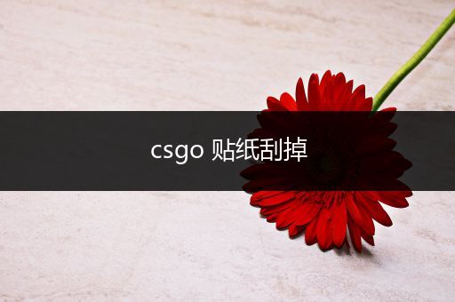 csgo 贴纸刮掉