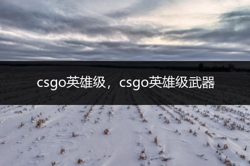 csgo英雄级，csgo英雄级武器