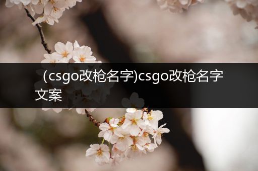 （csgo改枪名字)csgo改枪名字文案