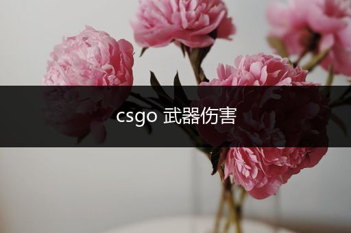 csgo 武器伤害