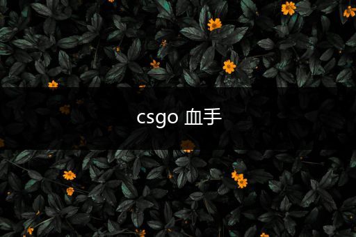 csgo 血手