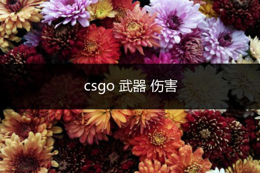 csgo 武器 伤害