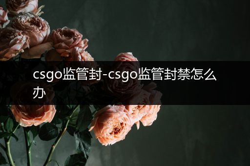 csgo监管封-csgo监管封禁怎么办