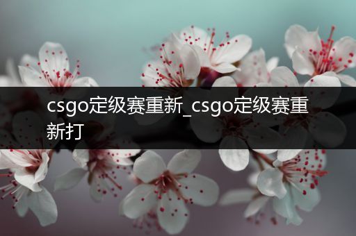 csgo定级赛重新_csgo定级赛重新打