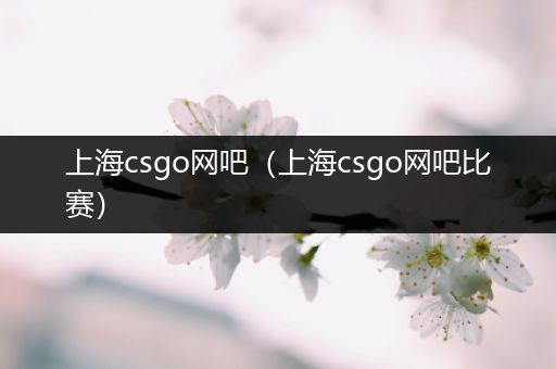 上海csgo网吧（上海csgo网吧比赛）