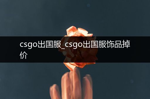 csgo出国服_csgo出国服饰品掉价