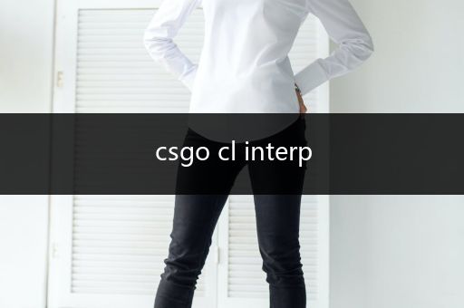 csgo cl interp