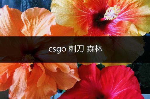 csgo 刺刀 森林