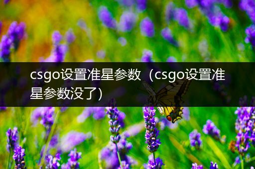 csgo设置准星参数（csgo设置准星参数没了）