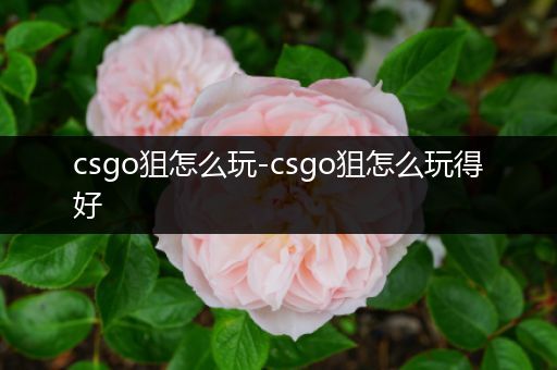 csgo狙怎么玩-csgo狙怎么玩得好