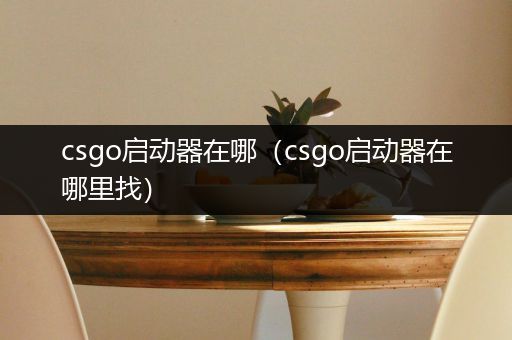 csgo启动器在哪（csgo启动器在哪里找）