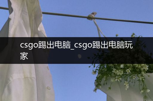 csgo踢出电脑_csgo踢出电脑玩家