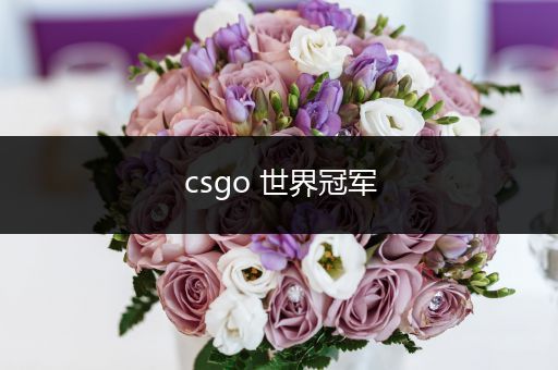 csgo 世界冠军