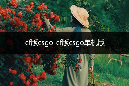 cf版csgo-cf版csgo单机版