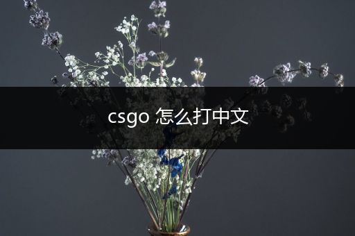 csgo 怎么打中文