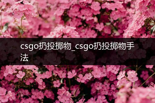 csgo扔投掷物_csgo扔投掷物手法