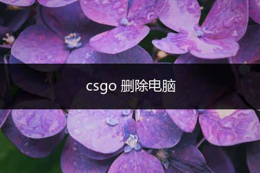 csgo 删除电脑