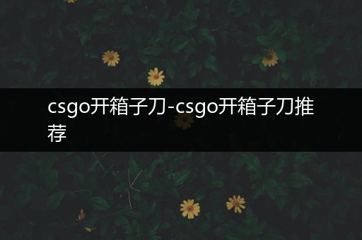 csgo开箱子刀-csgo开箱子刀推荐