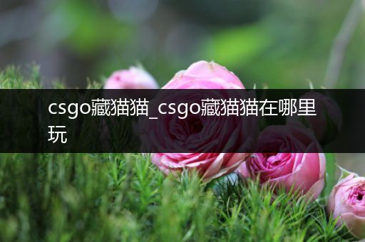 csgo藏猫猫_csgo藏猫猫在哪里玩