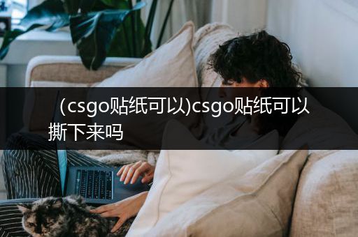 （csgo贴纸可以)csgo贴纸可以撕下来吗