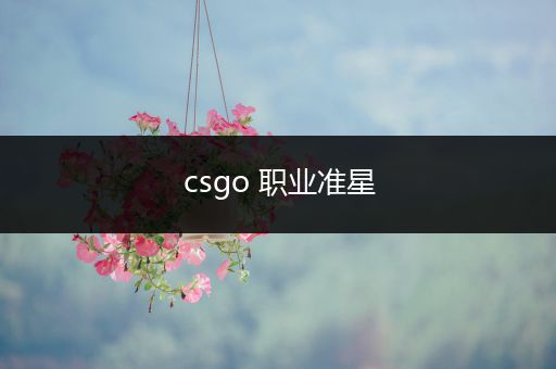 csgo 职业准星