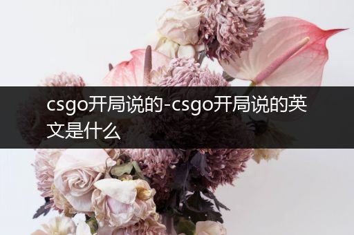 csgo开局说的-csgo开局说的英文是什么