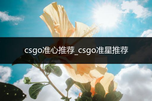 csgo准心推荐_csgo准星推荐