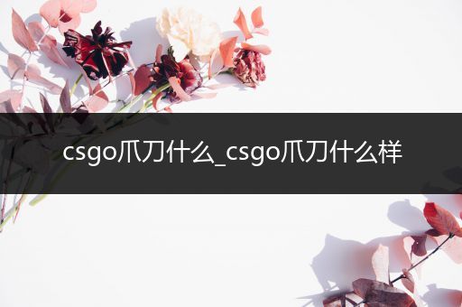 csgo爪刀什么_csgo爪刀什么样