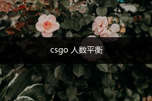 csgo 人数平衡