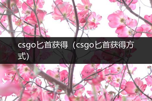 csgo匕首获得（csgo匕首获得方式）