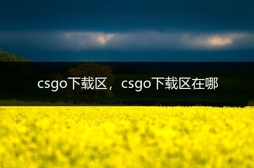 csgo下载区，csgo下载区在哪