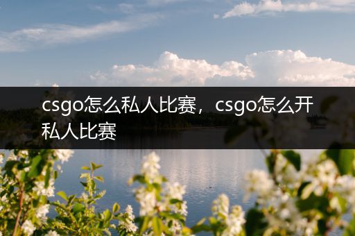 csgo怎么私人比赛，csgo怎么开私人比赛