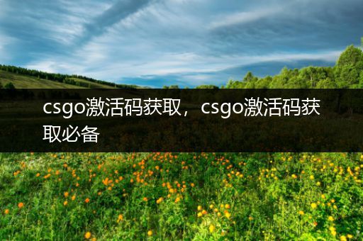 csgo激活码获取，csgo激活码获取必备