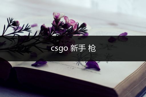 csgo 新手 枪