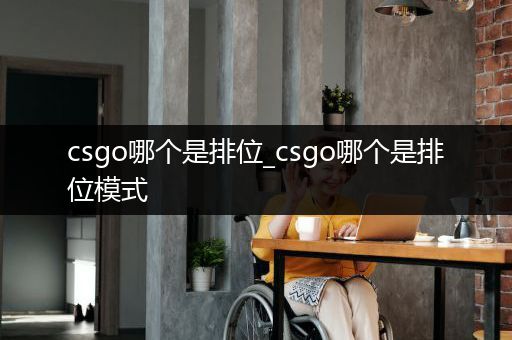 csgo哪个是排位_csgo哪个是排位模式